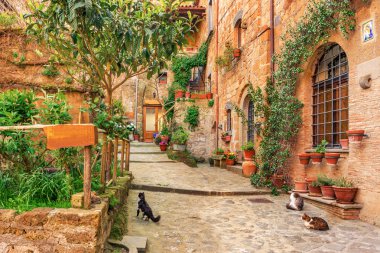 Beautiful alley in old town Tuscany clipart