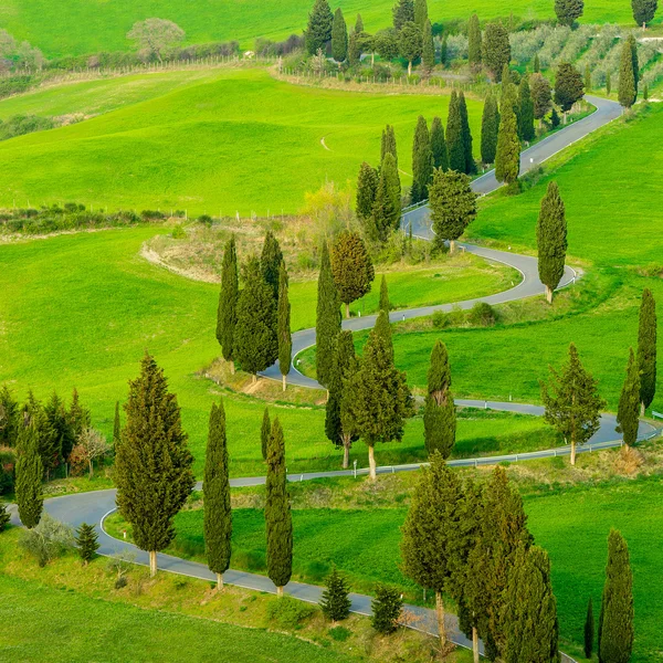 Toskana Frühlingslandschaft Italien — Stockfoto