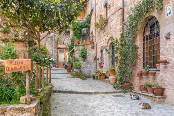 Callejón en el casco antiguo Toscana Italia — Foto de Stock