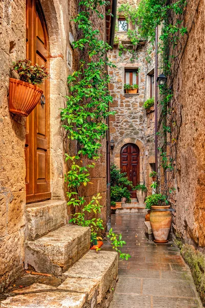 Vicolo nel centro storico Pitigliano Toscana Italia — Foto Stock