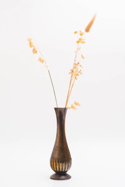 Dry Color Grass Flower Bronze Classic Vase Interior Decoration Studio — Stock Photo, Image