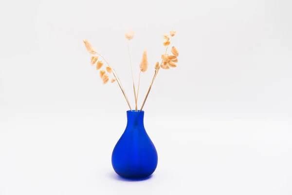 Dekorasyon Için Mavi Eğri Vazoda Kurumuş Çimen Çiçeği Stüdyo Görüntüleri Stok Resim