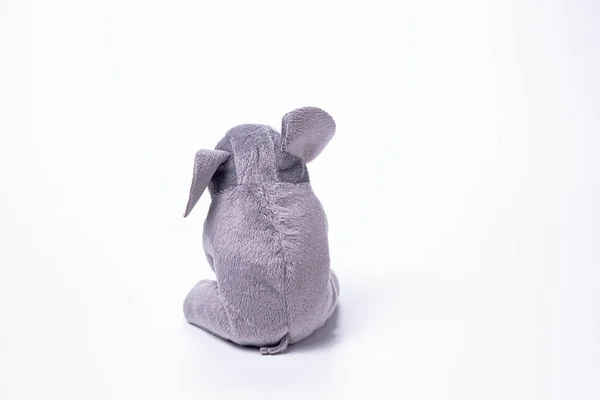 Pequenos Brinquedos Macios Elefante Isolados Fundo Branco Espaço Cópia — Fotografia de Stock