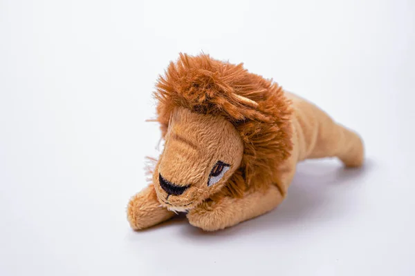 小狮子软玩具 适用于新生儿 被白色背景隔离 复制空间 — 图库照片