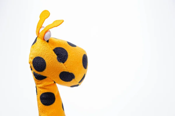 白色背景上孤立的黄色长颈鹿软玩具 复制空间 — 图库照片