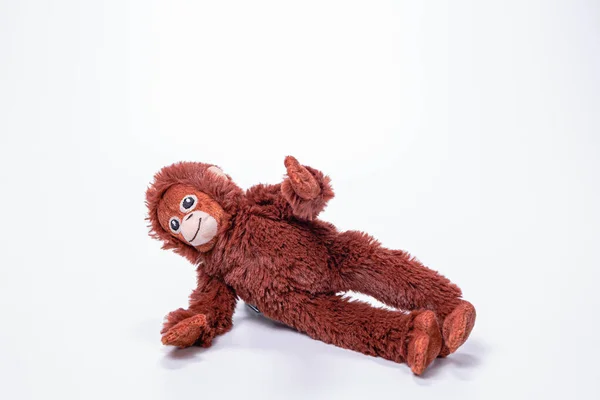 Pequenos Macacos Brinquedos Macios Isolados Fundo Branco — Fotografia de Stock