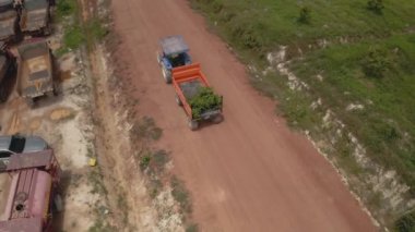Kuala Lumpur, Malezya: 07 Haziran 2020: Traktör üzerindeki çiftçinin hava görüntüsü genç bebek durian ağacını çiftlikten durian yetiştirmek için tarımsal bahçe bölgesine aktarıyor. 4k görüntü