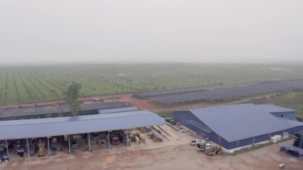 Kuala Lumpur Malaysia Juni 2020 Flygfoto Över Durian Gård Tidig — Stockvideo