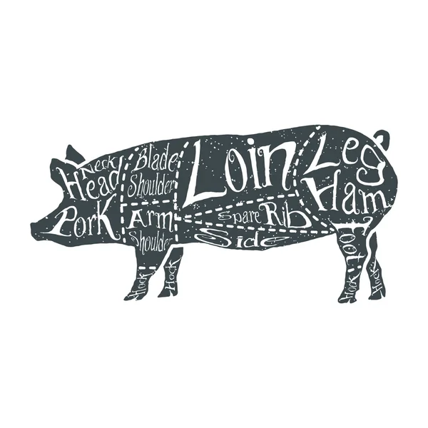 Cortes americanos de carne de porco —  Vetores de Stock