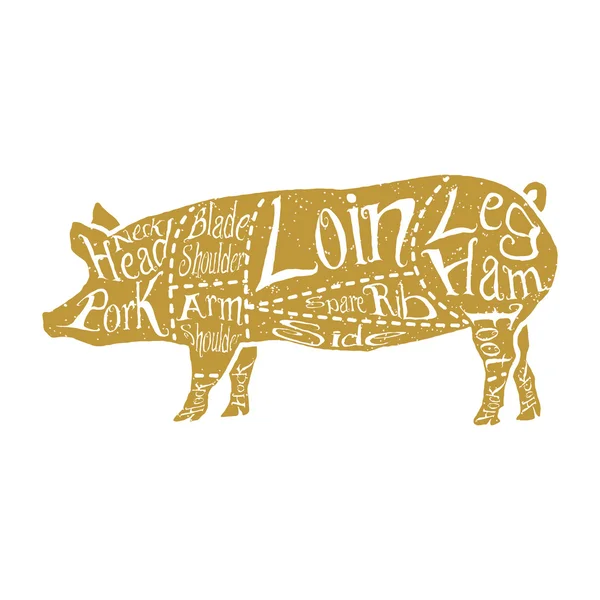 Cortes americanos de carne de porco — Vetor de Stock