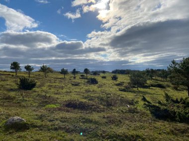 Mols bjerge, autum, Danimarka, yürüyüş