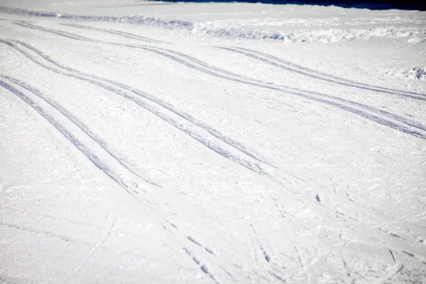 Cross Country Ski Tracks in Engadin