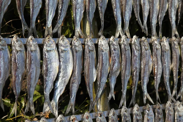 Pesce fresco sul mercato — Foto Stock