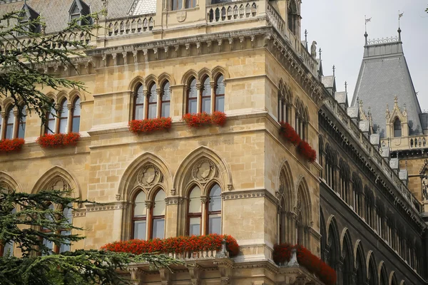 Blick auf das wien rathaus in Österreich — Stockfoto