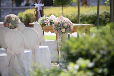 Düğün sandalye kapsar