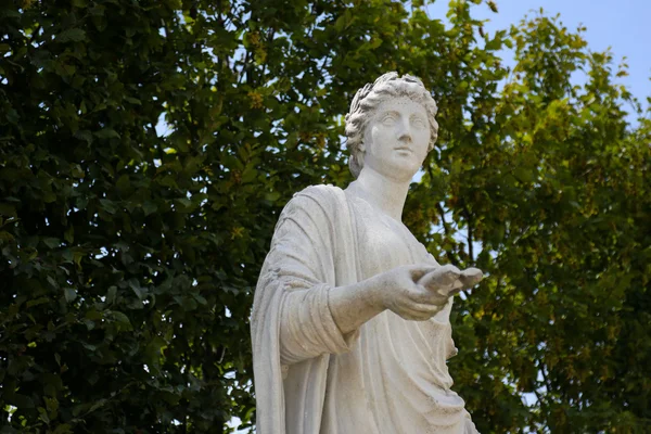 Garden Park of Schonbrunn Palace, Vienna — Stock Photo, Image