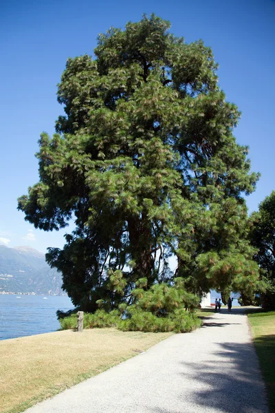 Blick auf den schönen Park der Villa Melzi — Stockfoto