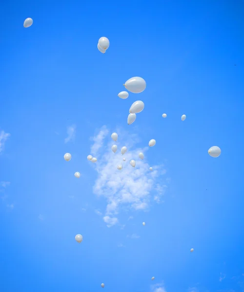 White Balloons on Sky Background — Stock Photo, Image