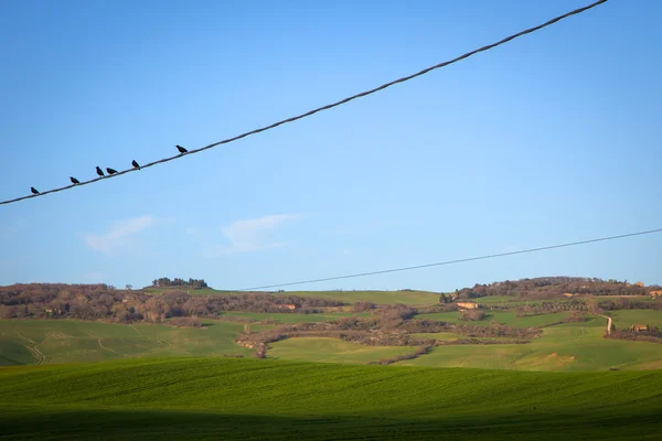 Val d'Orcia in Tuscany — Stock Photo, Image