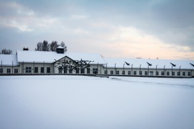 Dachau toplama kampında anma