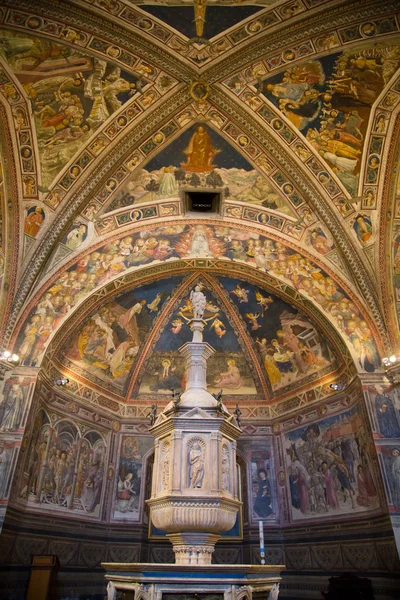 Catedral de Siena en Toscana, Italia — Foto de Stock