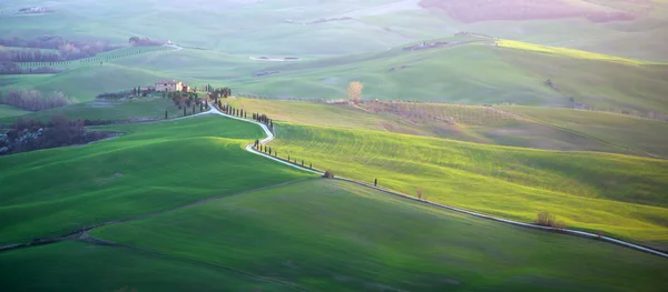 Val d'Orcia in Tuscany — Stock Photo, Image
