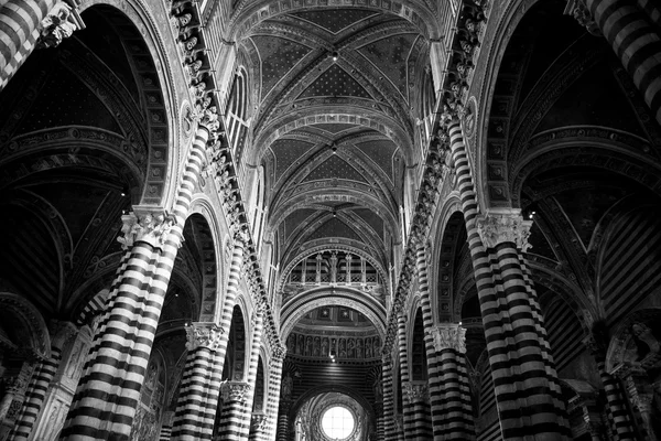 Catedral de Siena en Toscana, Italia —  Fotos de Stock