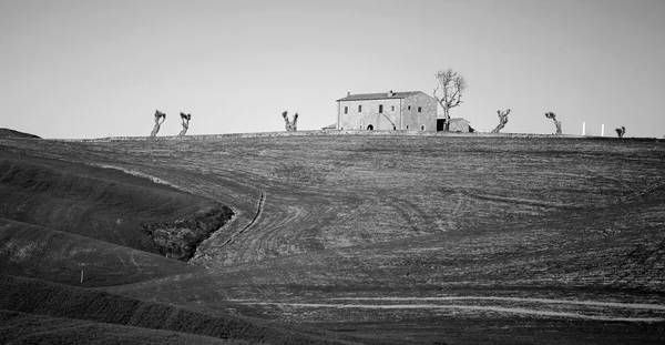 意大利托斯卡纳的Val d'Orcia — 图库照片