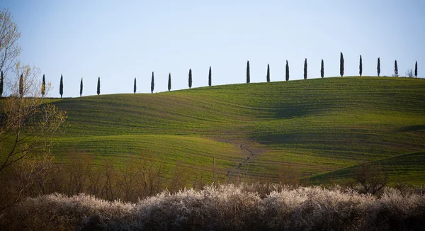 Val d'Orcia in Tuscany, Italy — Stock Photo, Image