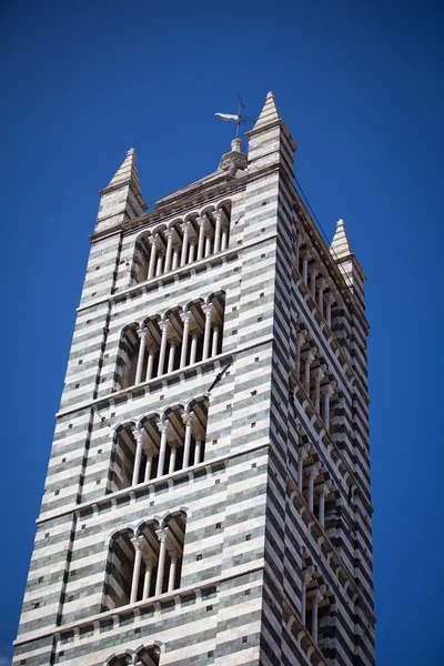Catedral de Siena em Toscana, Italia — Fotografia de Stock