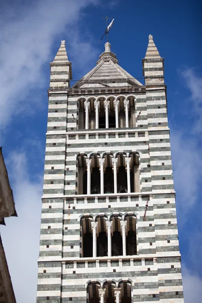 Siena katedral i Toscana, Italien — Stockfoto