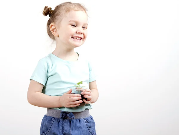 Kind bedrijf jonge plant in handen — Stockfoto