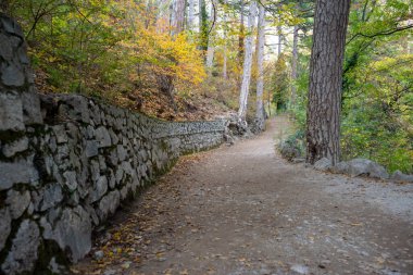 Sonbahar manzarasında virajlı bir yol