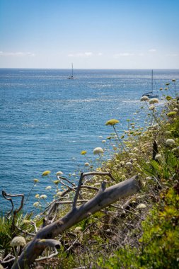 Sahil manzarası güzel..