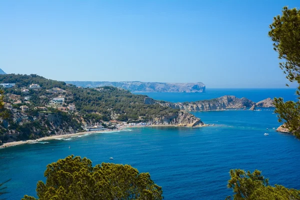 Javea