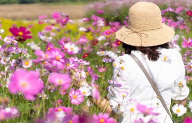 Yazın kozmos çiçek tarlasında yürüyen hasır şapka ve beyaz elbise giyen genç bir kadın.