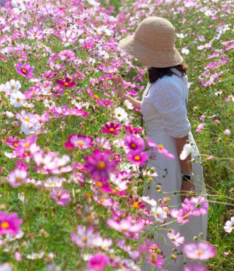 Yazın kozmos çiçek tarlasında yürüyen hasır şapka ve beyaz elbise giyen genç bir kadın.