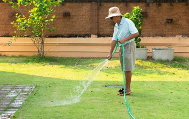 Kıdemli Asyalı adam sabahları arka bahçedeki çimenleri sulamak için hortum kullanıyor.