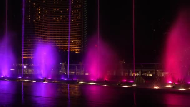 お祝いの夜川の横にカラフルな光で美しい音楽噴水ダンス — ストック動画