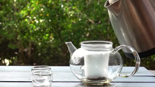 急須にお湯を注ぐ人の手を閉じてお茶を作る — ストック動画