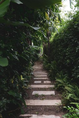 Yeşil bahçedeki patika