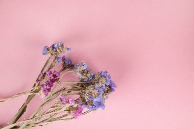 pembe çiçekli pembe masa arkaplanlı