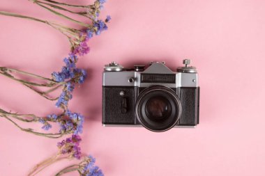Kurumuş çiçekler ve pembe arka planda klasik kamera.