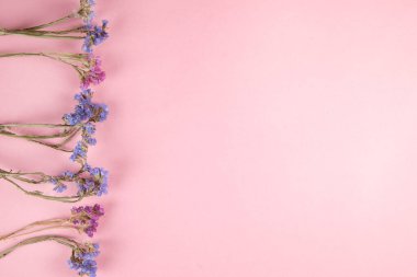 pembe arkaplanda mor ve mavi kurumuş çiçek