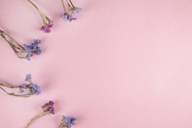 Pembe arka planda mor çiçekli mavi