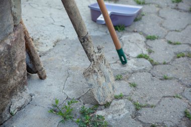 Akşamları bahçede kürek