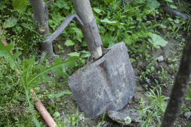 Akşamları bahçede kürek