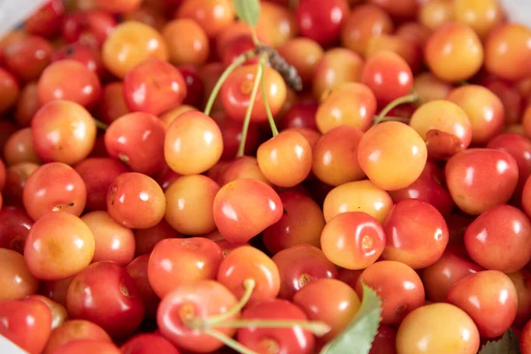 Gul Körsbär Makro Närbild Detalj Bakgrund — Stockfoto