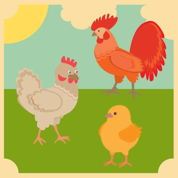 Rooster and chickens — Stock Vector