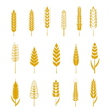 Basit buğday kulakları simgeler ve bira, buğday tahıl organik yerel çiftlik taze gıda, ekmek temalı tasarım için tasarım öğeleri kümesi. Buğday vektör